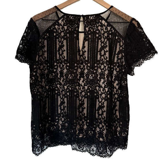 Express Black Lace Short Sleeve Blouse | Sheer Mesh Detail | Size L - Picture 2 of 4